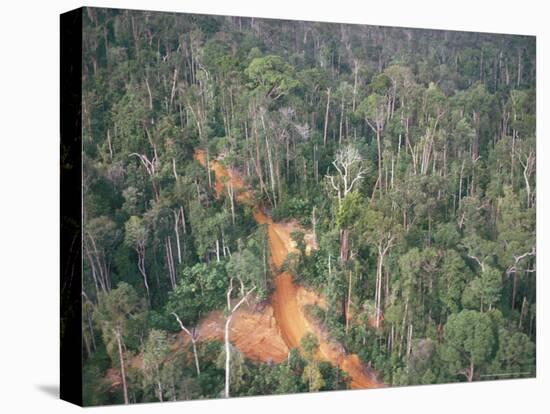 Logging Road Through Rainforest, Brazil, South America-Robin Hanbury-tenison-Stretched Canvas