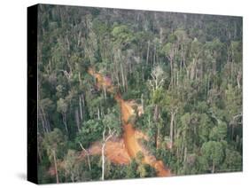 Logging Road Through Rainforest, Brazil, South America-Robin Hanbury-tenison-Stretched Canvas