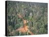 Logging Road Through Rainforest, Brazil, South America-Robin Hanbury-tenison-Stretched Canvas