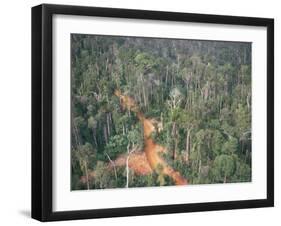 Logging Road Through Rainforest, Brazil, South America-Robin Hanbury-tenison-Framed Premium Photographic Print