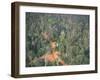 Logging Road Through Rainforest, Brazil, South America-Robin Hanbury-tenison-Framed Photographic Print