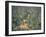 Logging Road Through Rainforest, Brazil, South America-Robin Hanbury-tenison-Framed Photographic Print