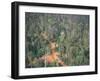 Logging Road Through Rainforest, Brazil, South America-Robin Hanbury-tenison-Framed Photographic Print