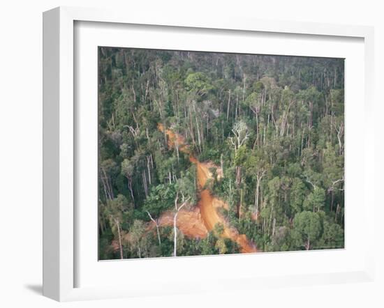 Logging Road Through Rainforest, Brazil, South America-Robin Hanbury-tenison-Framed Photographic Print