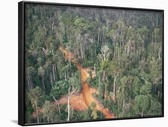 Logging Road Through Rainforest, Brazil, South America-Robin Hanbury-tenison-Framed Photographic Print