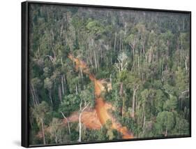 Logging Road Through Rainforest, Brazil, South America-Robin Hanbury-tenison-Framed Photographic Print