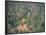Logging Road Through Rainforest, Brazil, South America-Robin Hanbury-tenison-Framed Photographic Print