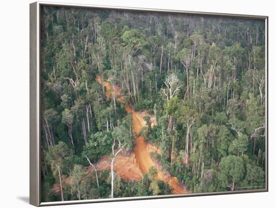 Logging Road Through Rainforest, Brazil, South America-Robin Hanbury-tenison-Framed Photographic Print