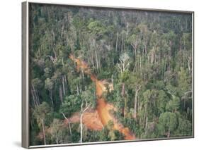 Logging Road Through Rainforest, Brazil, South America-Robin Hanbury-tenison-Framed Photographic Print