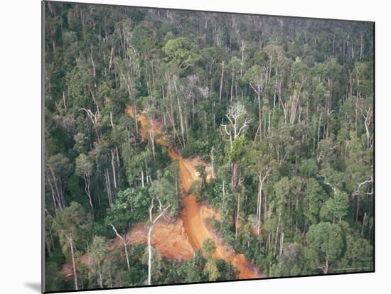 Logging Road Through Rainforest, Brazil, South America-Robin Hanbury-tenison-Mounted Photographic Print