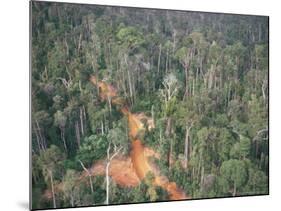 Logging Road Through Rainforest, Brazil, South America-Robin Hanbury-tenison-Mounted Photographic Print