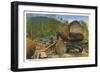 Logging Scene, Washington-null-Framed Art Print