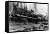 Logging Train carrying men and 12 foot diameter Fir Trees Photograph - Cascades, WA-Lantern Press-Framed Stretched Canvas