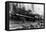 Logging Train carrying men and 12 foot diameter Fir Trees Photograph - Cascades, WA-Lantern Press-Framed Stretched Canvas