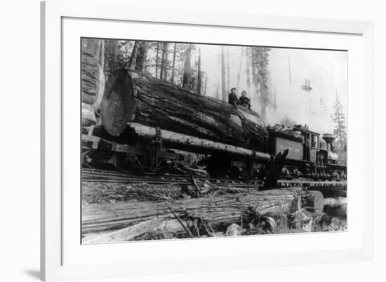 Logging Train carrying men and 12 foot diameter Fir Trees Photograph - Cascades, WA-Lantern Press-Framed Art Print