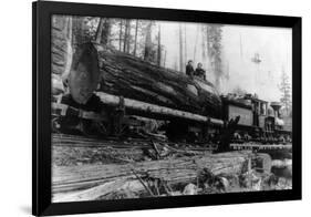 Logging Train carrying men and 12 foot diameter Fir Trees Photograph - Cascades, WA-Lantern Press-Framed Art Print