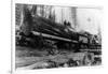 Logging Train carrying men and 12 foot diameter Fir Trees Photograph - Cascades, WA-Lantern Press-Framed Art Print