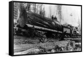 Logging Train carrying men and 12 foot diameter Fir Trees Photograph - Cascades, WA-Lantern Press-Framed Stretched Canvas