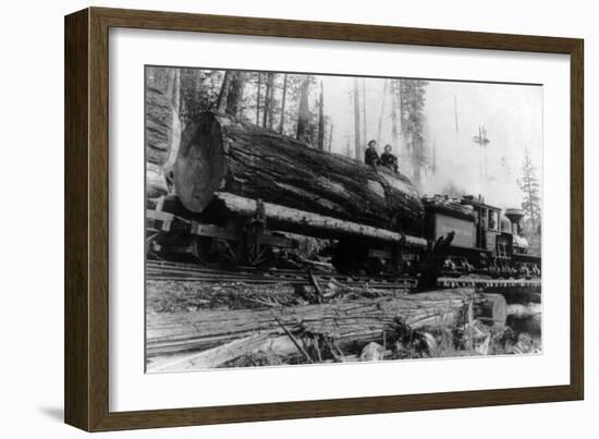 Logging Train carrying men and 12 foot diameter Fir Trees Photograph - Cascades, WA-Lantern Press-Framed Art Print