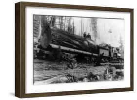 Logging Train carrying men and 12 foot diameter Fir Trees Photograph - Cascades, WA-Lantern Press-Framed Art Print