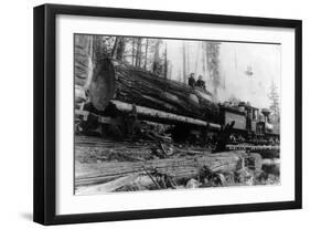 Logging Train carrying men and 12 foot diameter Fir Trees Photograph - Cascades, WA-Lantern Press-Framed Art Print