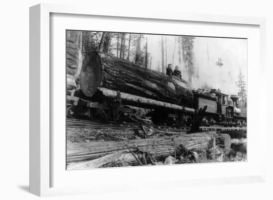 Logging Train carrying men and 12 foot diameter Fir Trees Photograph - Cascades, WA-Lantern Press-Framed Art Print