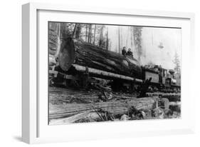 Logging Train carrying men and 12 foot diameter Fir Trees Photograph - Cascades, WA-Lantern Press-Framed Art Print