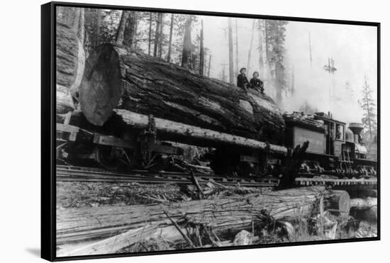 Logging Train carrying men and 12 foot diameter Fir Trees Photograph - Cascades, WA-Lantern Press-Framed Stretched Canvas