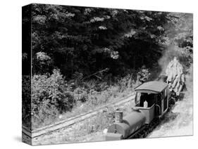 Logging Train, Harbor Springs, Mich.-null-Stretched Canvas