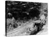 Logging Train, Harbor Springs, Mich.-null-Stretched Canvas