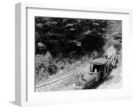 Logging Train, Harbor Springs, Mich.-null-Framed Photo