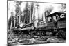 Logging Train-Clark Kinsey-Mounted Art Print