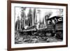 Logging Train-Clark Kinsey-Framed Premium Giclee Print