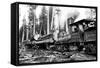 Logging Train-Clark Kinsey-Framed Stretched Canvas