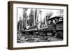 Logging Train-Clark Kinsey-Framed Art Print