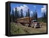 Logging Truck, British Columbia, Canada, North America-Harding Robert-Framed Stretched Canvas