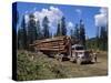 Logging Truck, British Columbia, Canada, North America-Harding Robert-Stretched Canvas