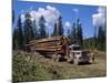 Logging Truck, British Columbia, Canada, North America-Harding Robert-Mounted Photographic Print