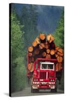 Logging Truck Loaded with Logs-David Nunuk-Stretched Canvas