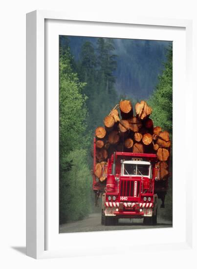 Logging Truck Loaded with Logs-David Nunuk-Framed Photographic Print