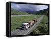 Logging Trucks on the Road Near Gisborne, East Coast, North Island, New Zealand-D H Webster-Framed Stretched Canvas