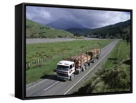 Logging Trucks on the Road Near Gisborne, East Coast, North Island, New Zealand-D H Webster-Framed Stretched Canvas