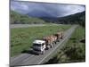 Logging Trucks on the Road Near Gisborne, East Coast, North Island, New Zealand-D H Webster-Mounted Photographic Print