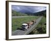 Logging Trucks on the Road Near Gisborne, East Coast, North Island, New Zealand-D H Webster-Framed Photographic Print