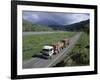 Logging Trucks on the Road Near Gisborne, East Coast, North Island, New Zealand-D H Webster-Framed Photographic Print