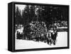 Logs being hauled on a Sleigh by a Team of Horses Photograph - Alaska-Lantern Press-Framed Stretched Canvas