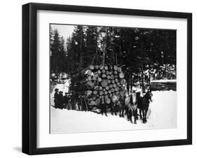 Logs being hauled on a Sleigh by a Team of Horses Photograph - Alaska-Lantern Press-Framed Art Print