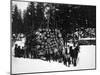 Logs being hauled on a Sleigh by a Team of Horses Photograph - Alaska-Lantern Press-Mounted Art Print