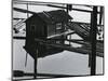Logs, Building, Water, 1982-Brett Weston-Mounted Photographic Print