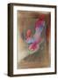 Loie Fuller, 1893-Henri de Toulouse-Lautrec-Framed Giclee Print